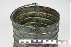 Foto von Bronzerippenziste (NHMW-PRAE-025462)